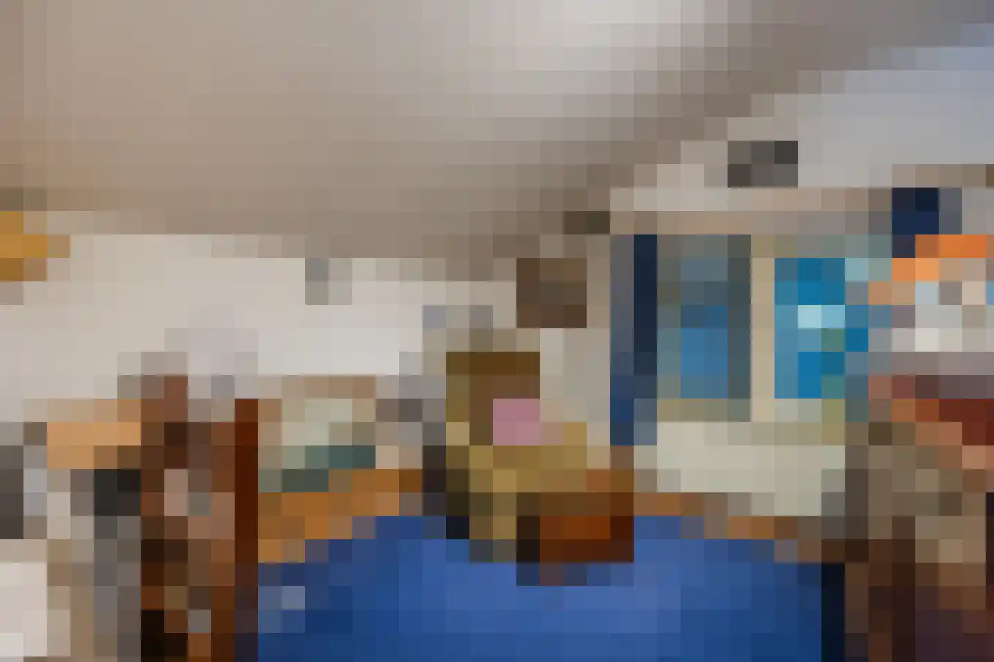 Molendijk 50 Dinteloord thumbnail 46