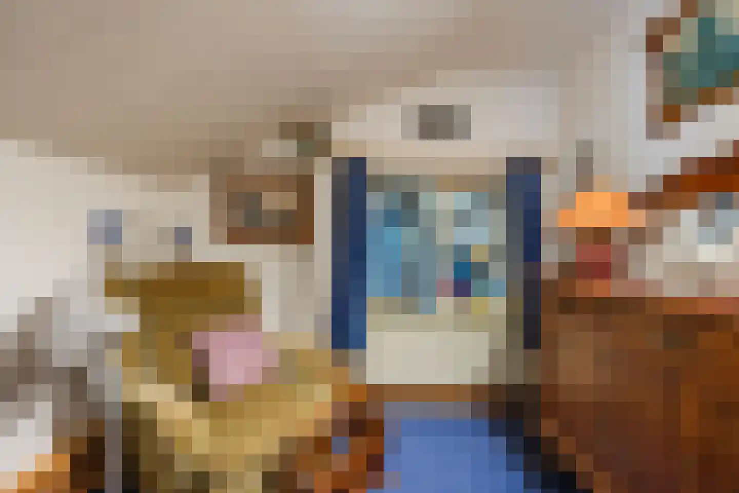 Molendijk 50 Dinteloord thumbnail 48