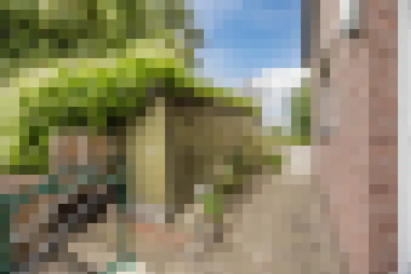 Molendijk 50 Dinteloord thumbnail 50