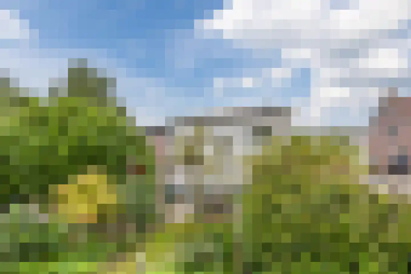 Molendijk 50 Dinteloord thumbnail 56