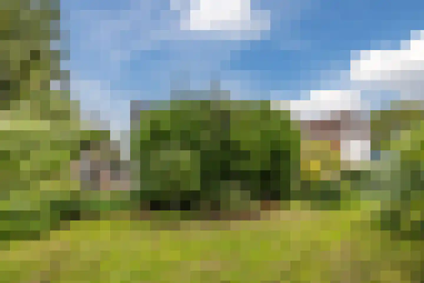 Molendijk 50 Dinteloord thumbnail 59