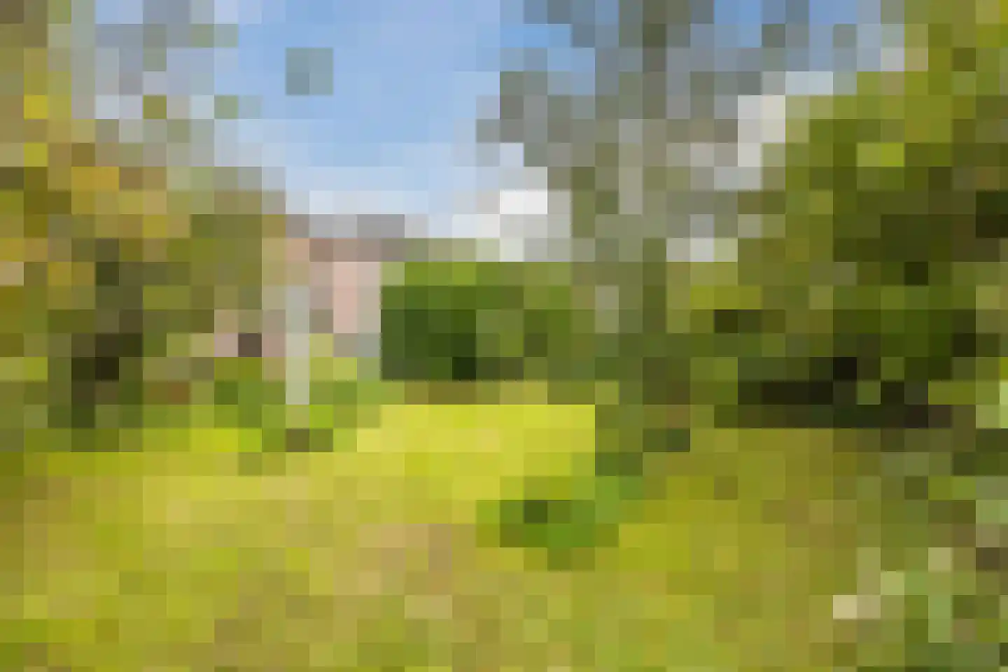 Molendijk 50 Dinteloord thumbnail 63