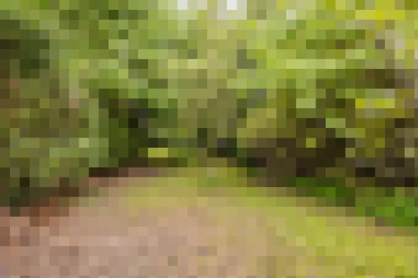 Molendijk 50 Dinteloord thumbnail 64