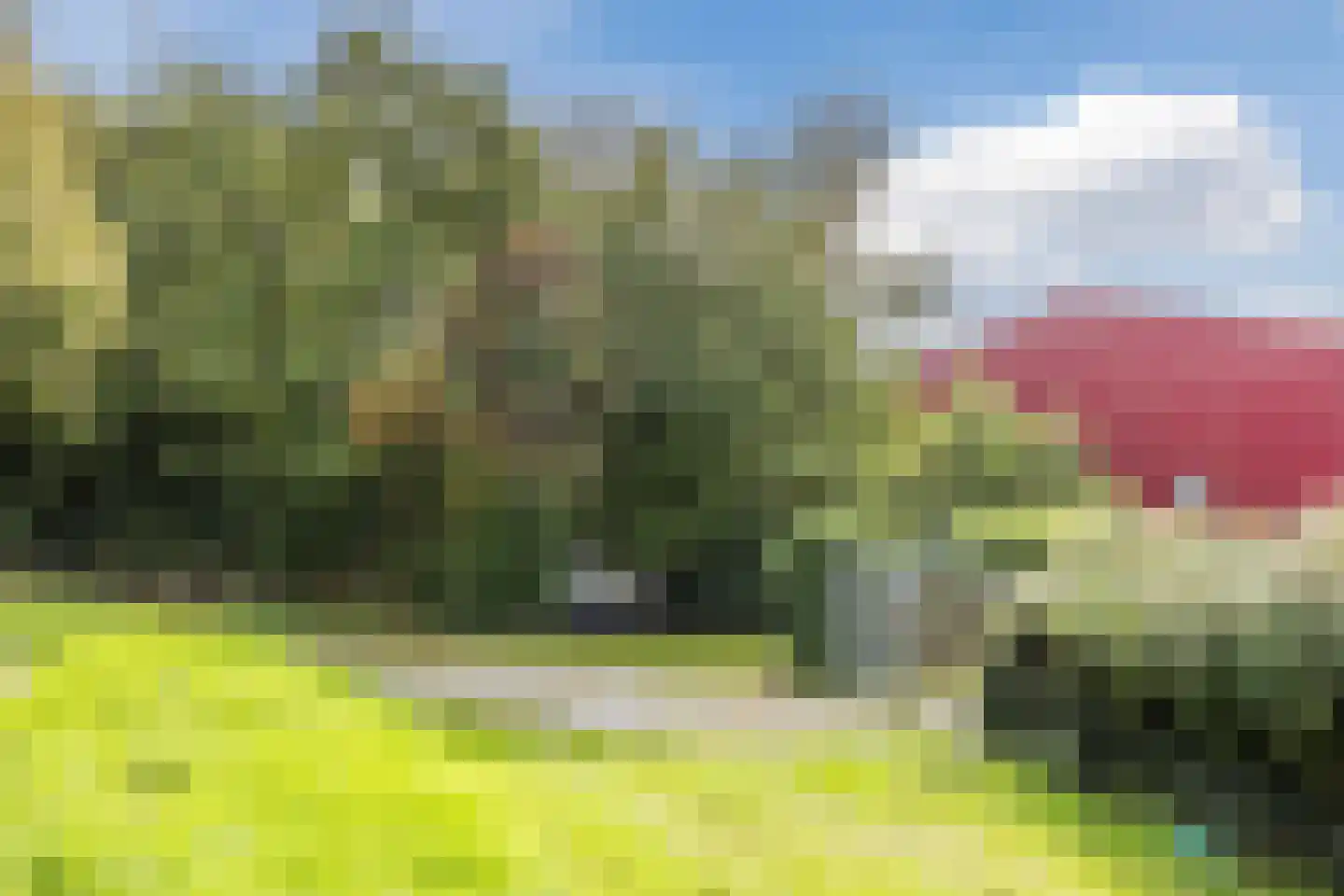Molendijk 50 Dinteloord thumbnail 69