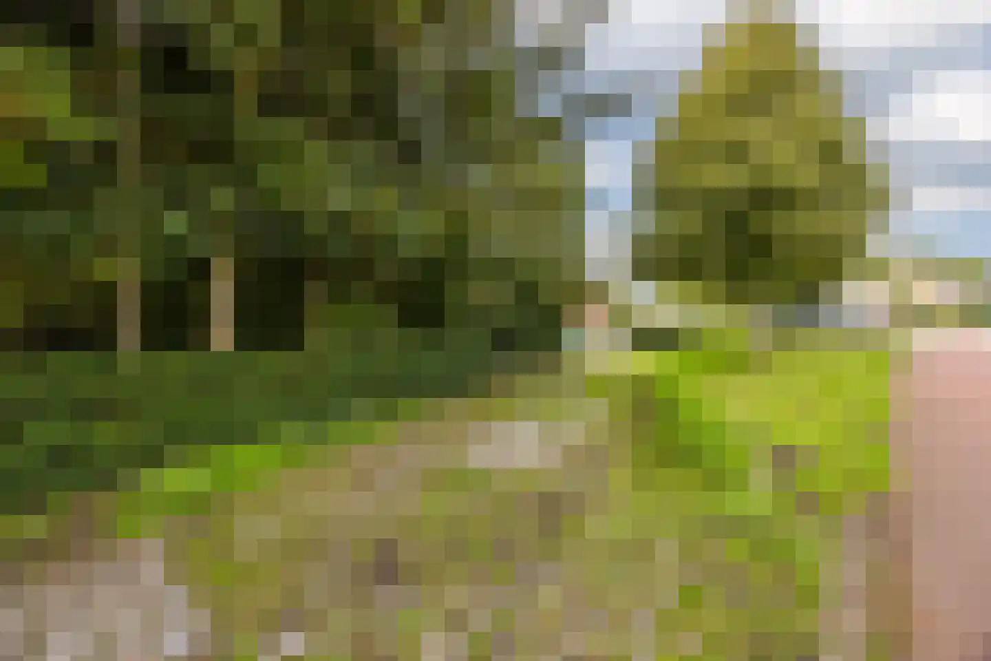 Molendijk 50 Dinteloord thumbnail 71
