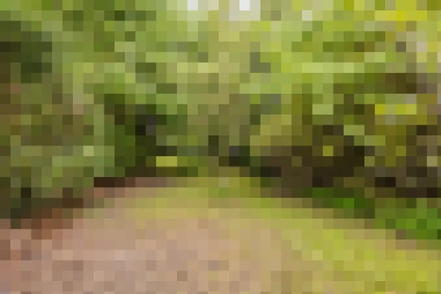 Molendijk 50 Dinteloord thumbnail 83