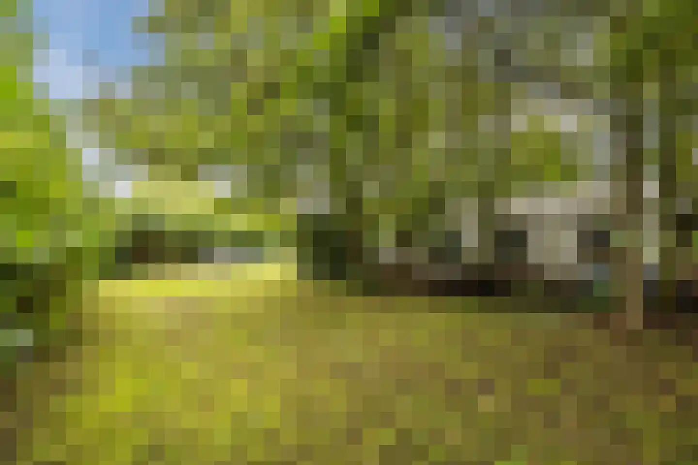 Molendijk 50 Dinteloord thumbnail 84
