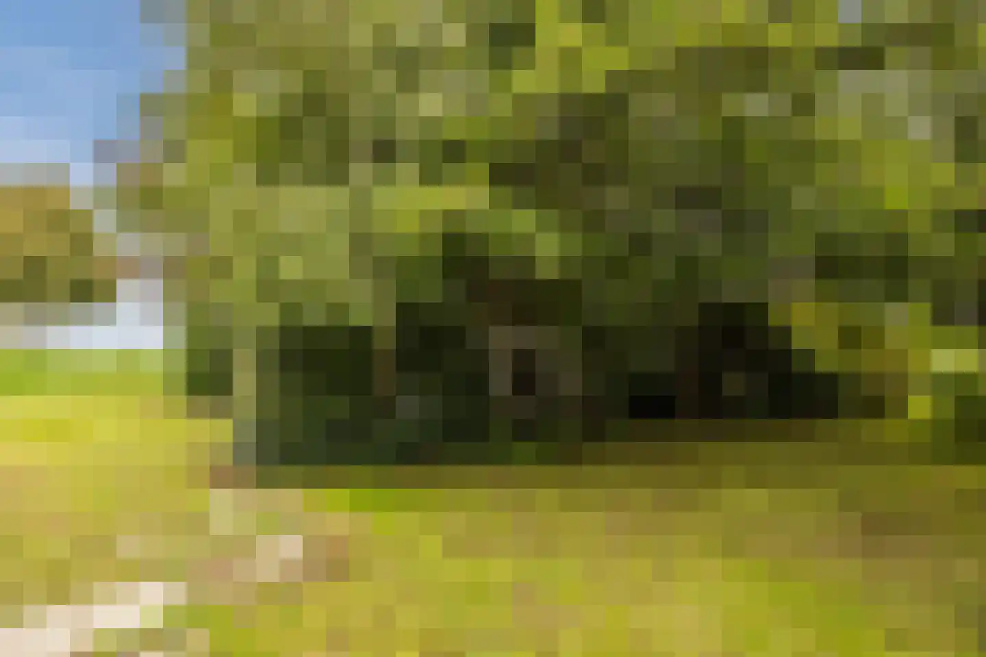 Molendijk 50 Dinteloord thumbnail 85