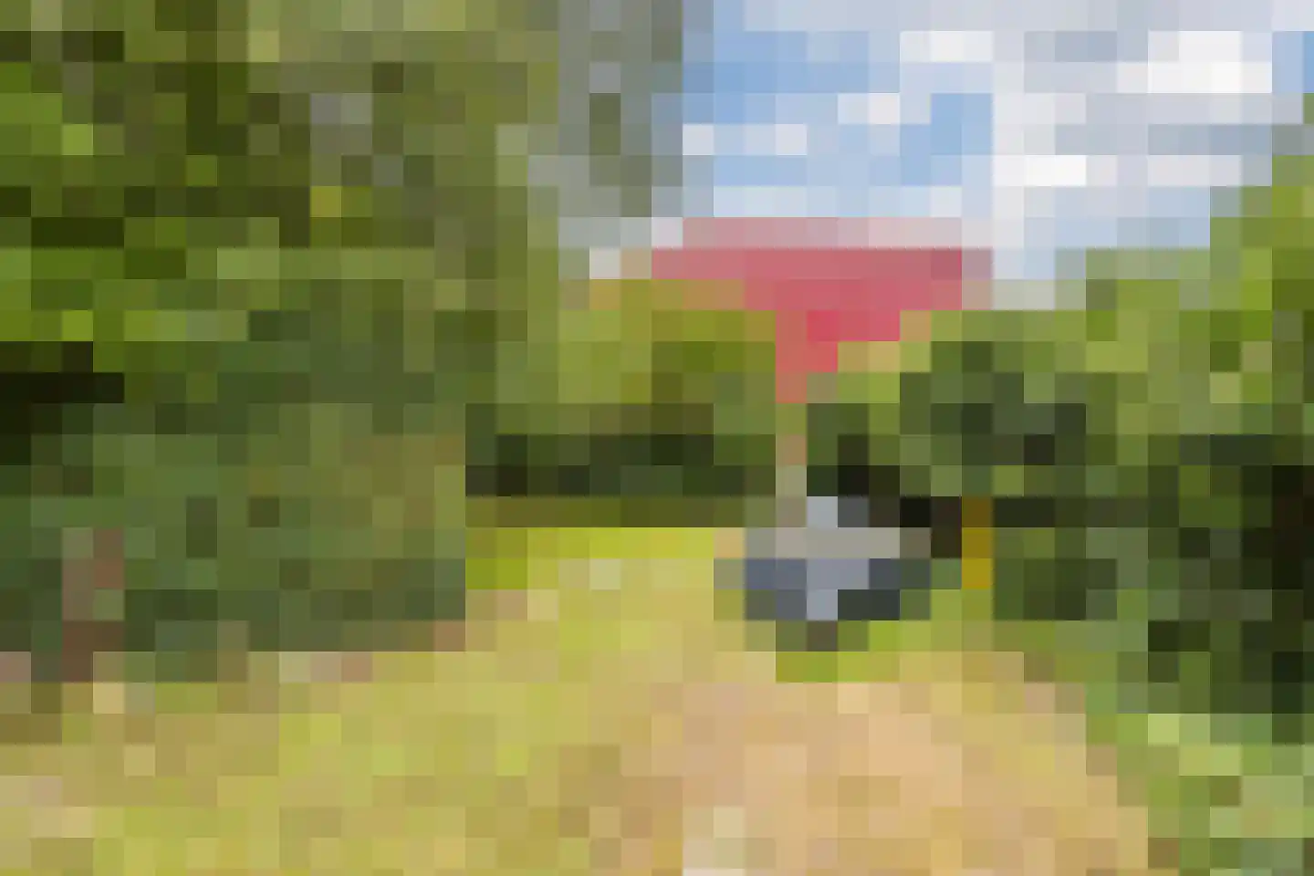 Molendijk 50 Dinteloord thumbnail 87