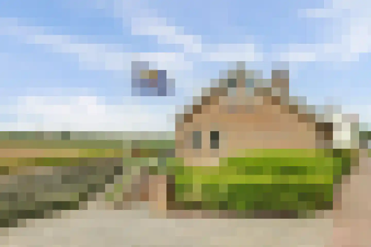 Molendijk 52 's-Heerenhoek thumbnail 36