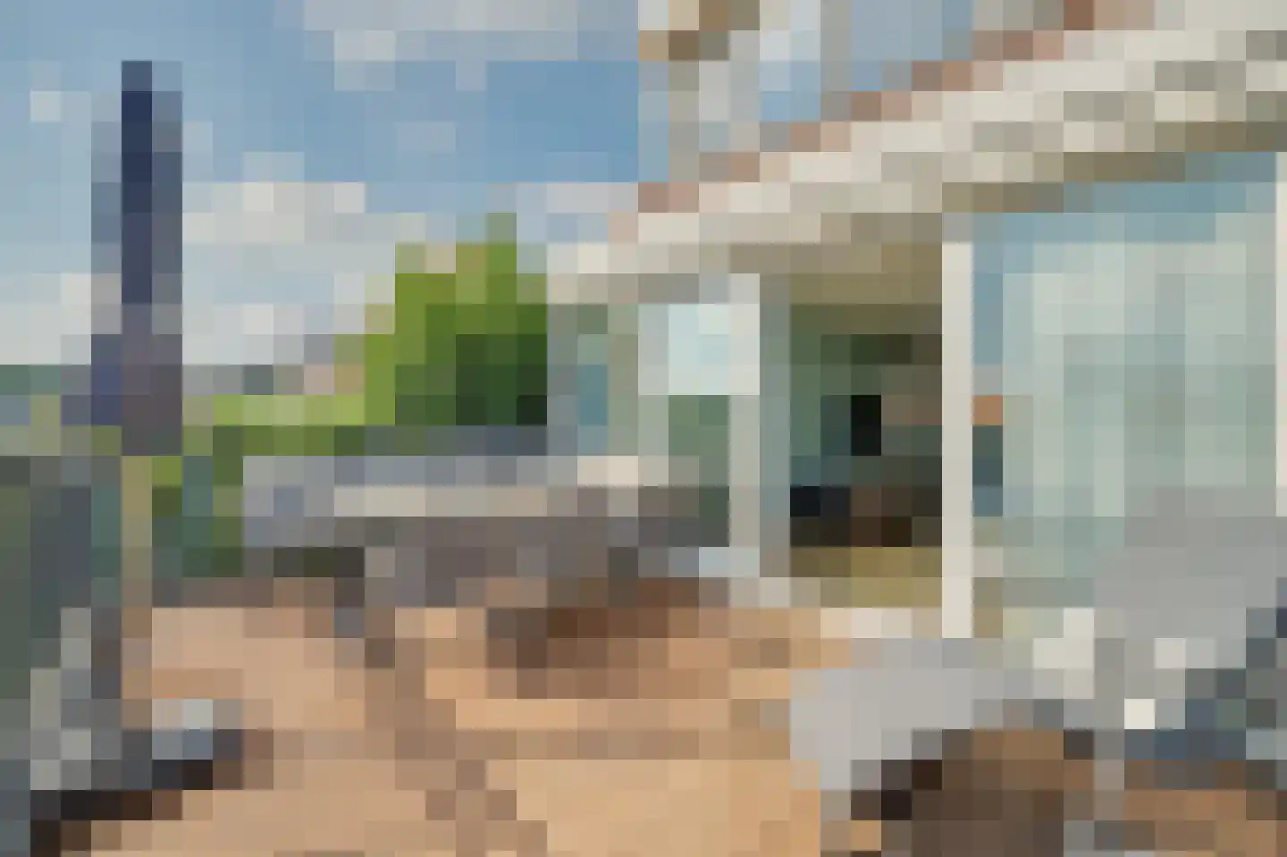 Molendijk 52 Stavenisse thumbnail 33