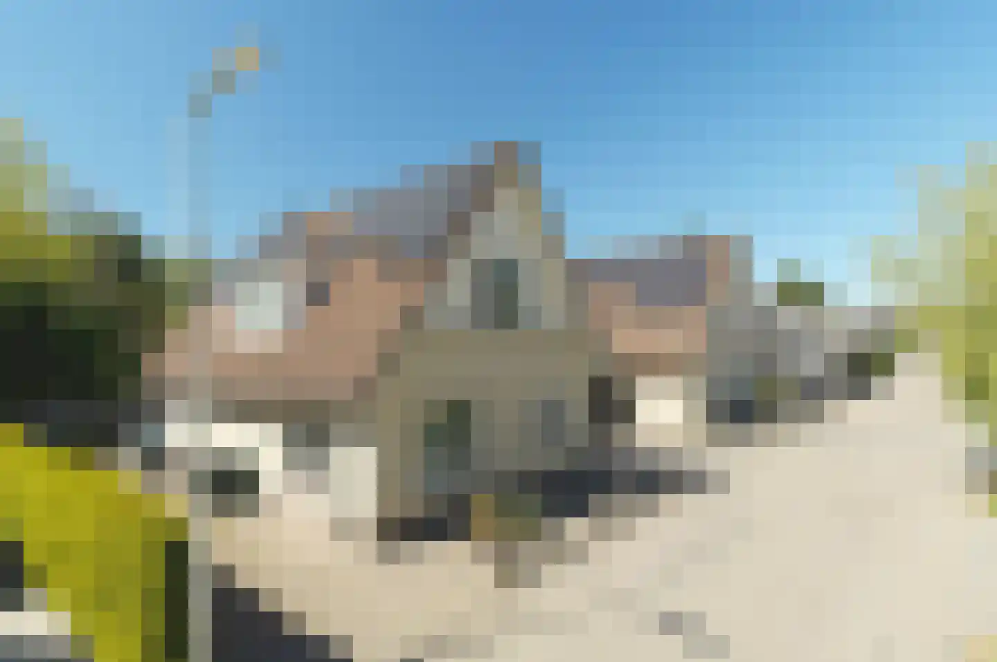 Molendijk 55 Rhoon thumbnail 31