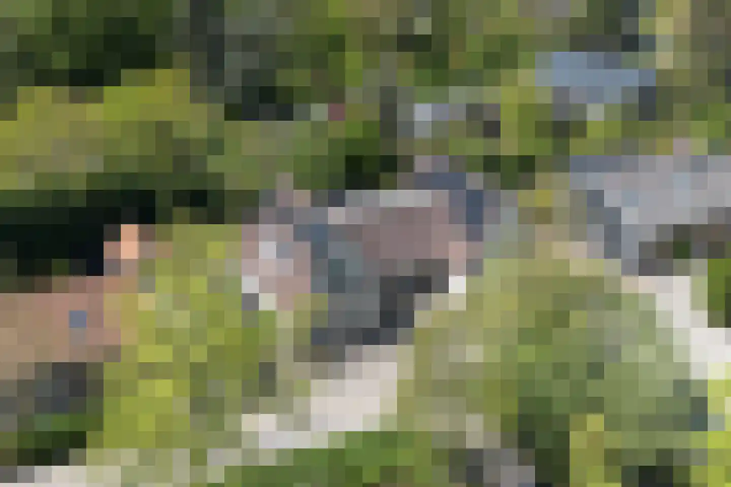 Molendijk 55 Rhoon thumbnail 32