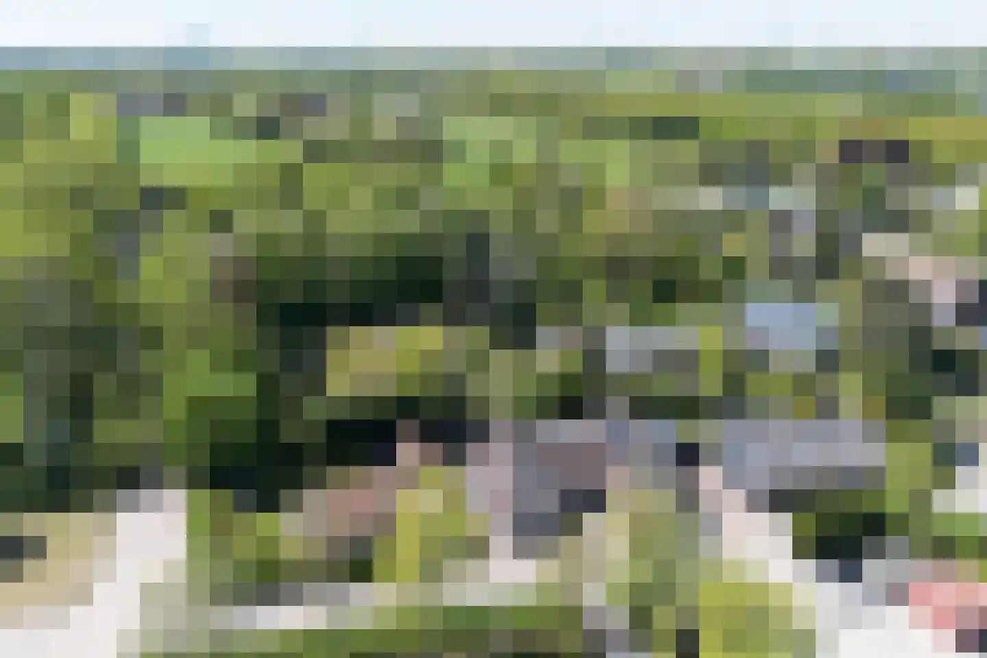 Molendijk 55 Rhoon thumbnail 33