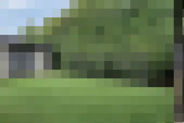 Molendijk 56 dans Krimpen aan de Lek