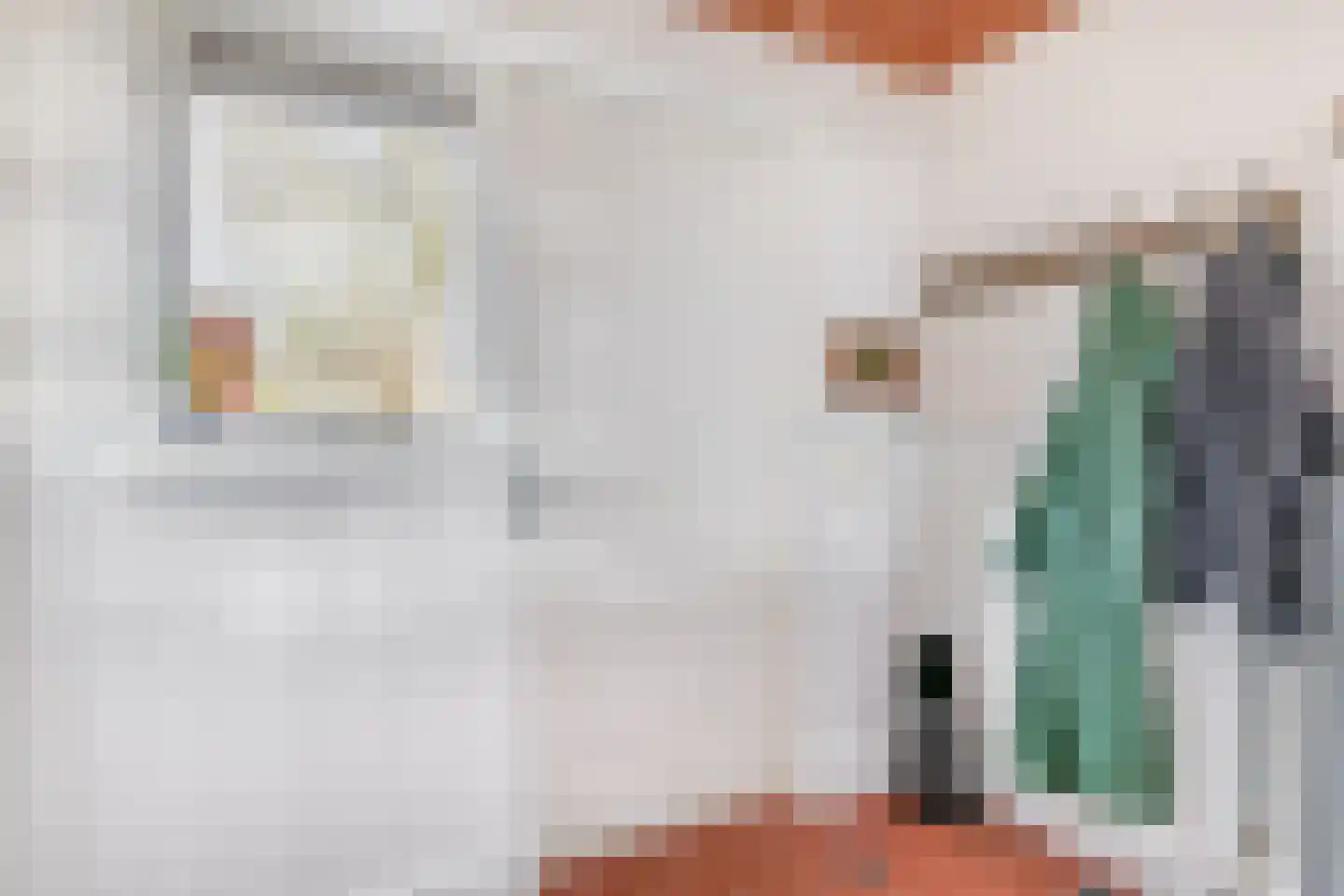Molendijk 56 Krimpen aan de Lek thumbnail 10