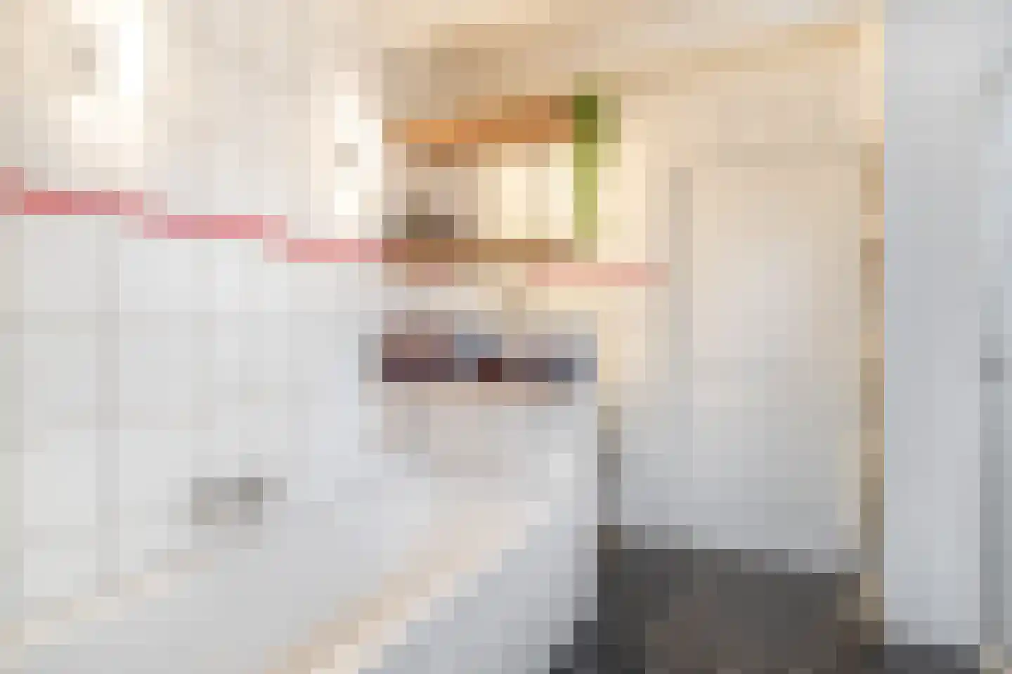 Molendijk 56 Krimpen aan de Lek thumbnail 29