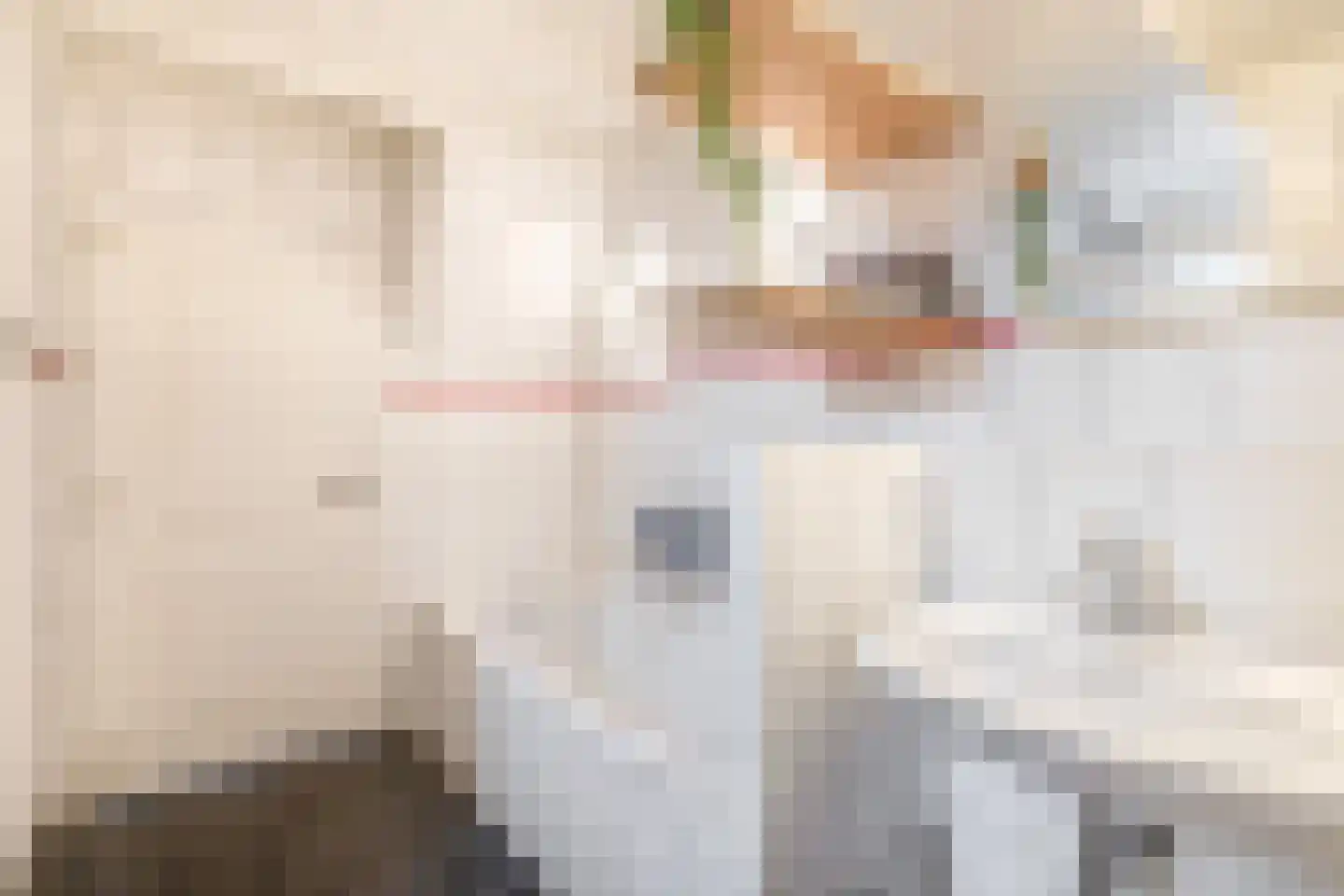 Molendijk 56 Krimpen aan de Lek thumbnail 30