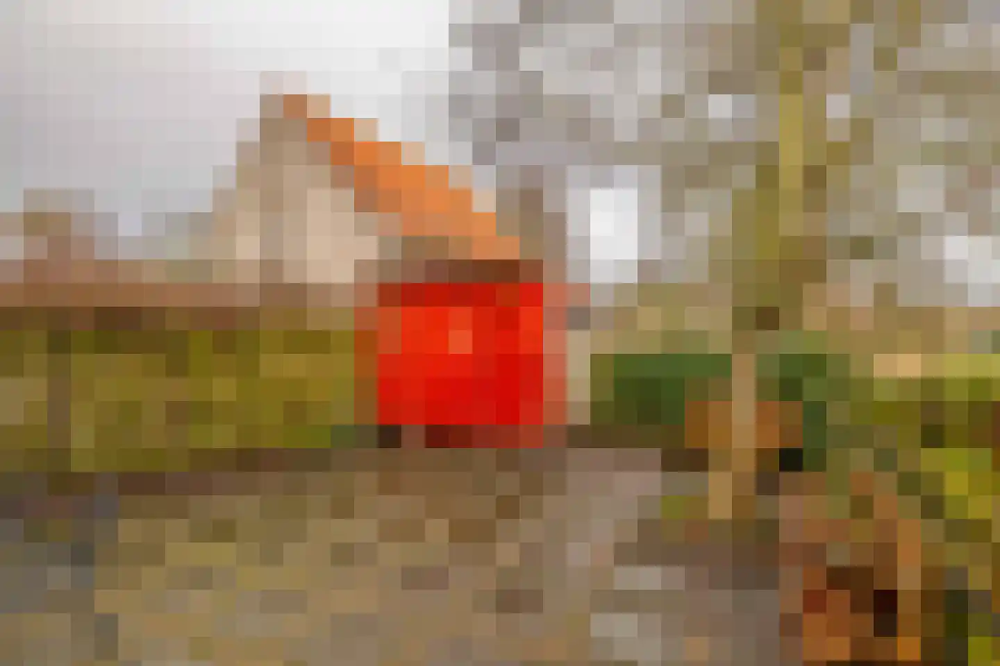 Molendijk 56 Krimpen aan de Lek thumbnail 41