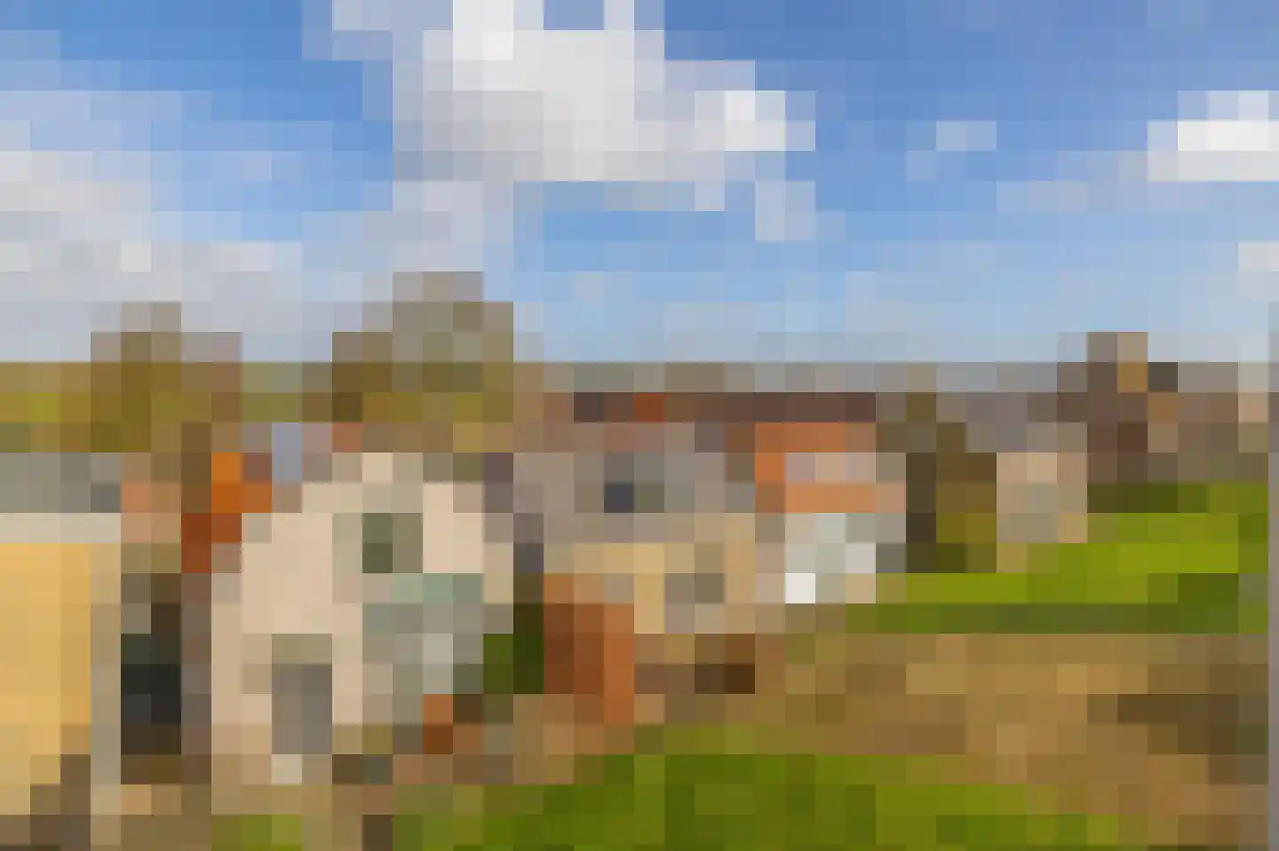 Molendijk 56 Krimpen aan de Lek thumbnail 45