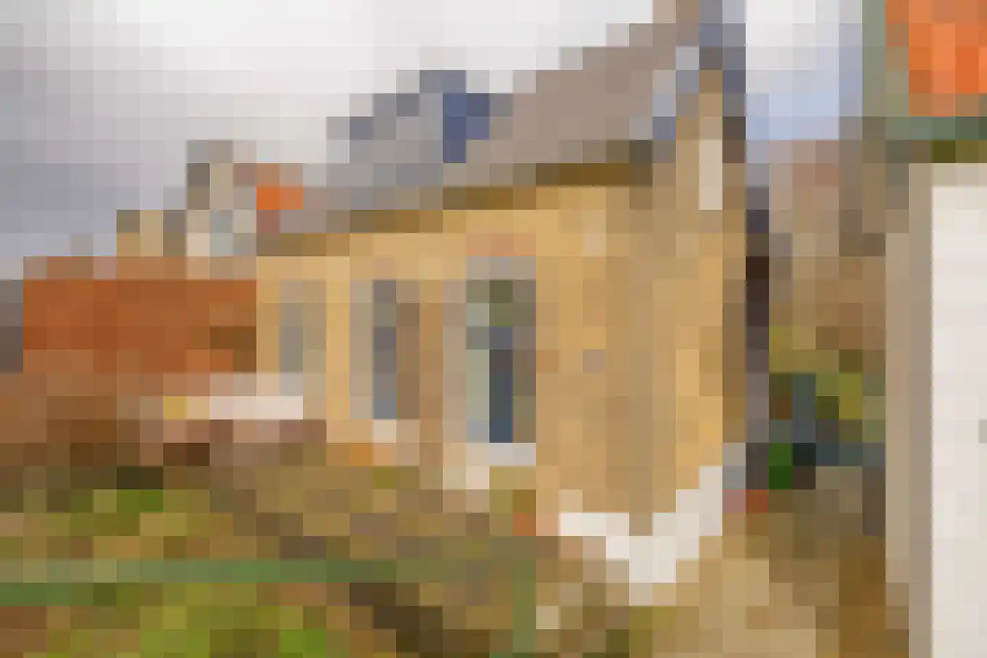 Molendijk 56 Krimpen aan de Lek thumbnail 7