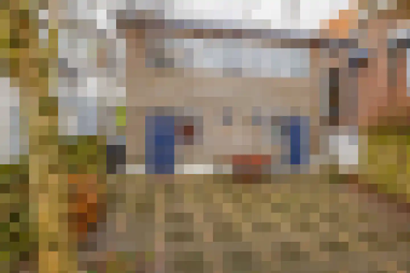 Molendijk 56 Krimpen aan de Lek thumbnail 8