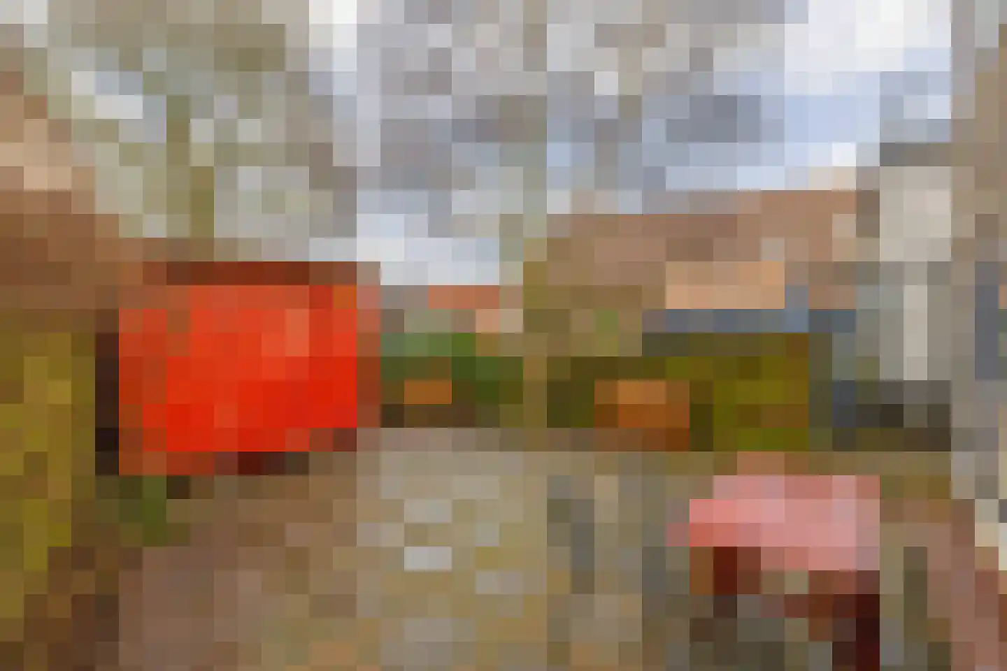 Molendijk 56 Krimpen aan de Lek thumbnail 9