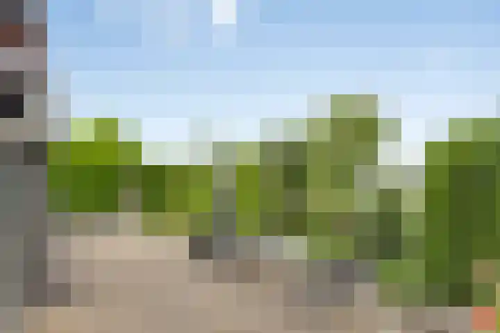 Molendijk 56 's-Heerenhoek thumbnail 34