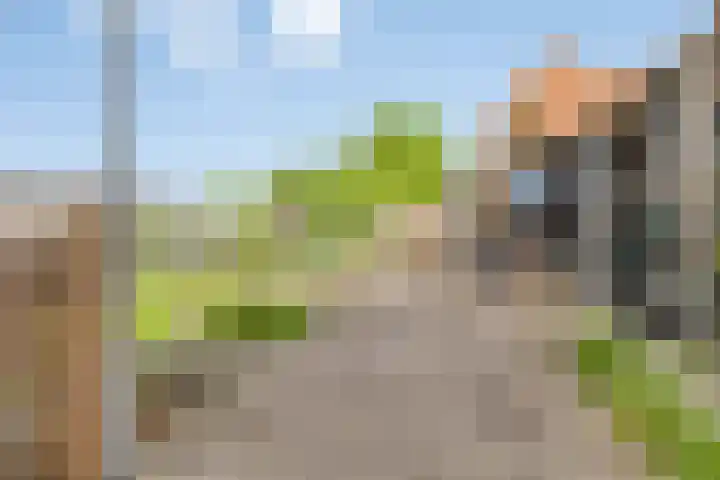 Molendijk 56 's-Heerenhoek thumbnail 35