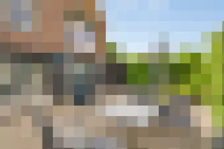 Molendijk 56 's-Heerenhoek thumbnail 36