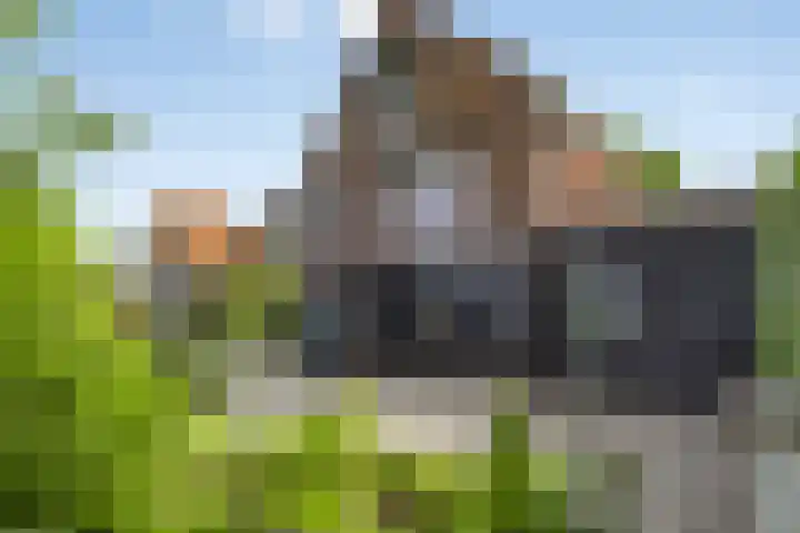Molendijk 56 's-Heerenhoek thumbnail 38