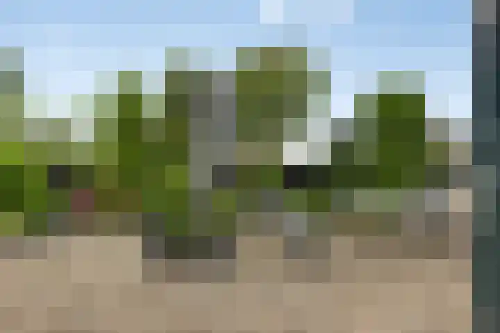 Molendijk 56 's-Heerenhoek thumbnail 39