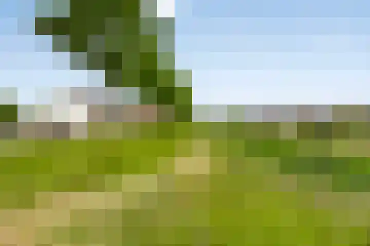 Molendijk 56 's-Heerenhoek thumbnail 41