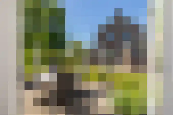Molendijk 57 Nieuw- en Sint Joosland thumbnail 26