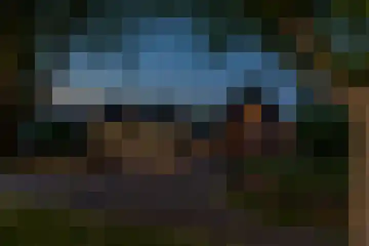 Molendijk 57 Nieuw- en Sint Joosland thumbnail 61