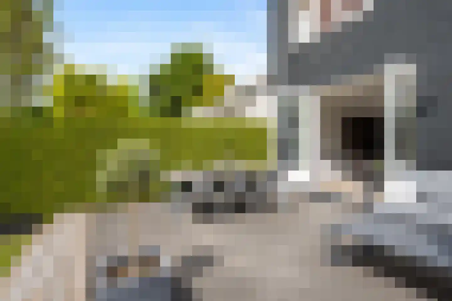 Molendijk 59 Rhoon thumbnail 35