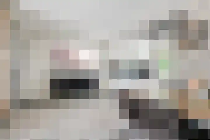 Molendijk 59 Stad aan 't Haringvliet thumbnail 13