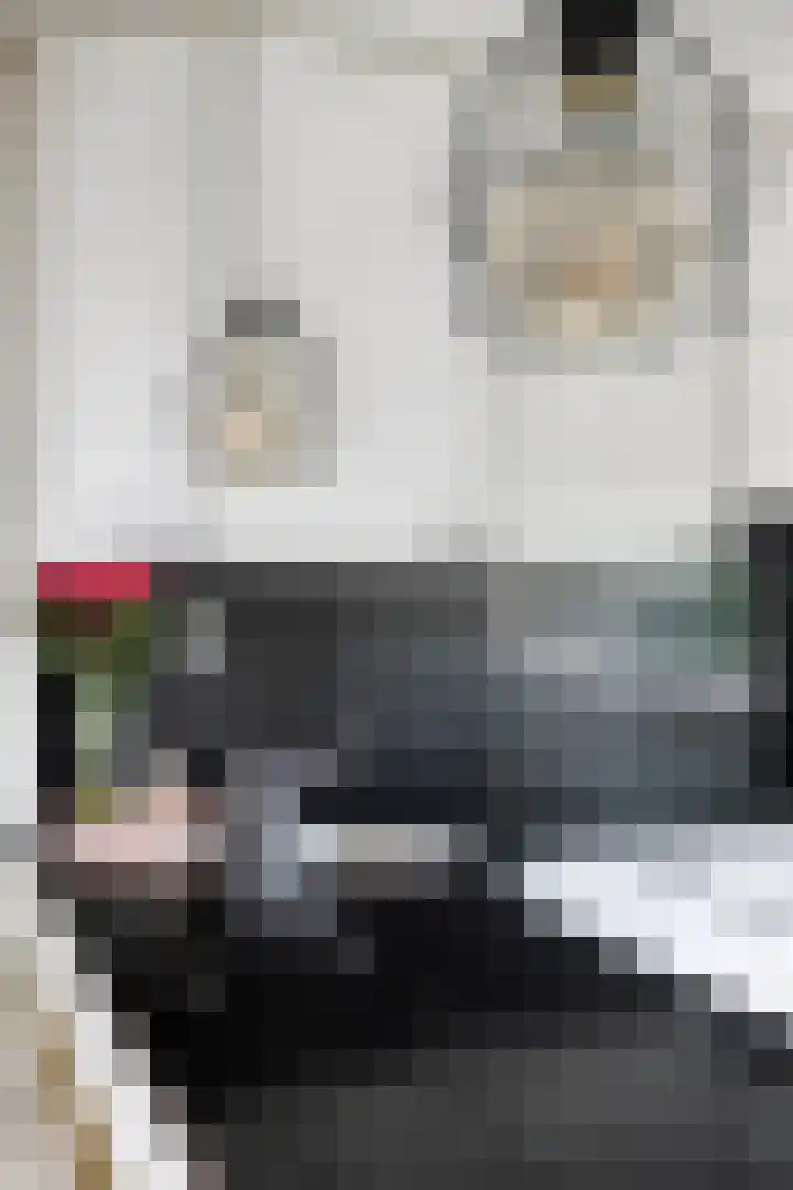 Molendijk 59 Stad aan 't Haringvliet thumbnail 17