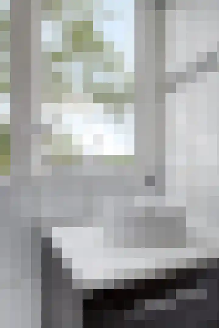 Molendijk 59 Stad aan 't Haringvliet thumbnail 33