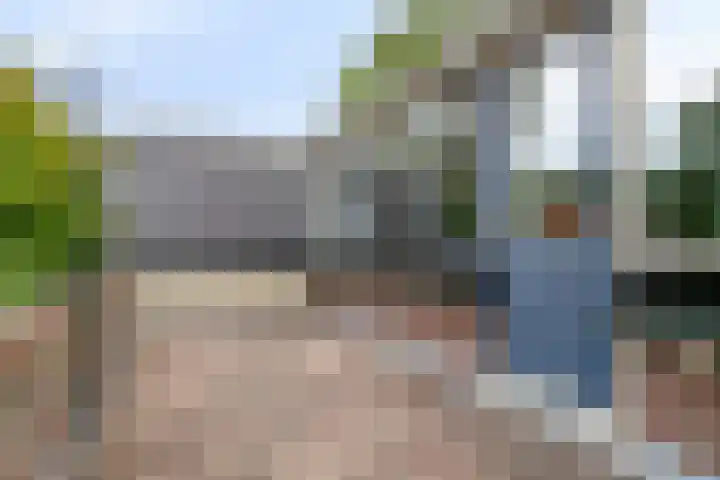 Molendijk 59 Stad aan 't Haringvliet thumbnail 34