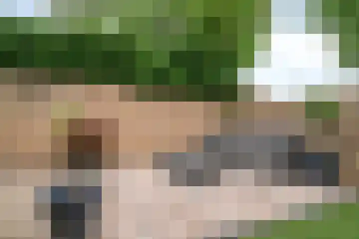 Molendijk 59 Stad aan 't Haringvliet thumbnail 37