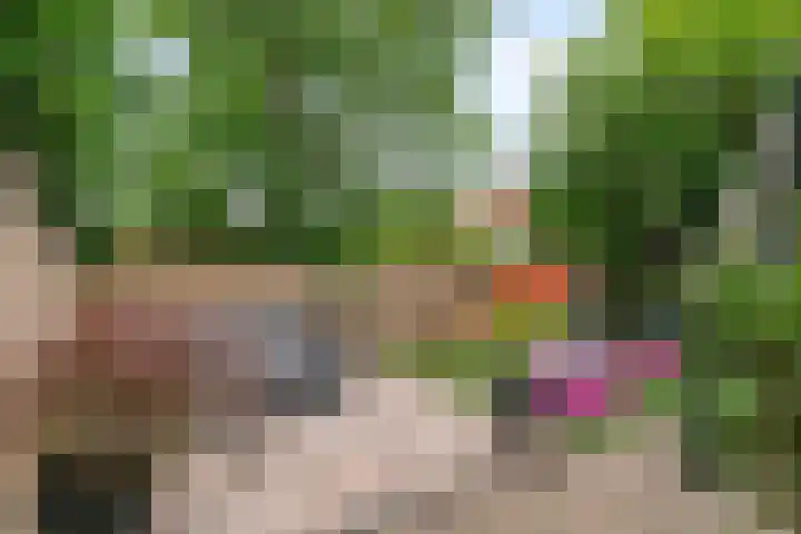 Molendijk 59 Stad aan 't Haringvliet thumbnail 4