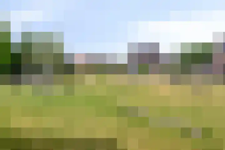 Molendijk 59 Stad aan 't Haringvliet thumbnail 46