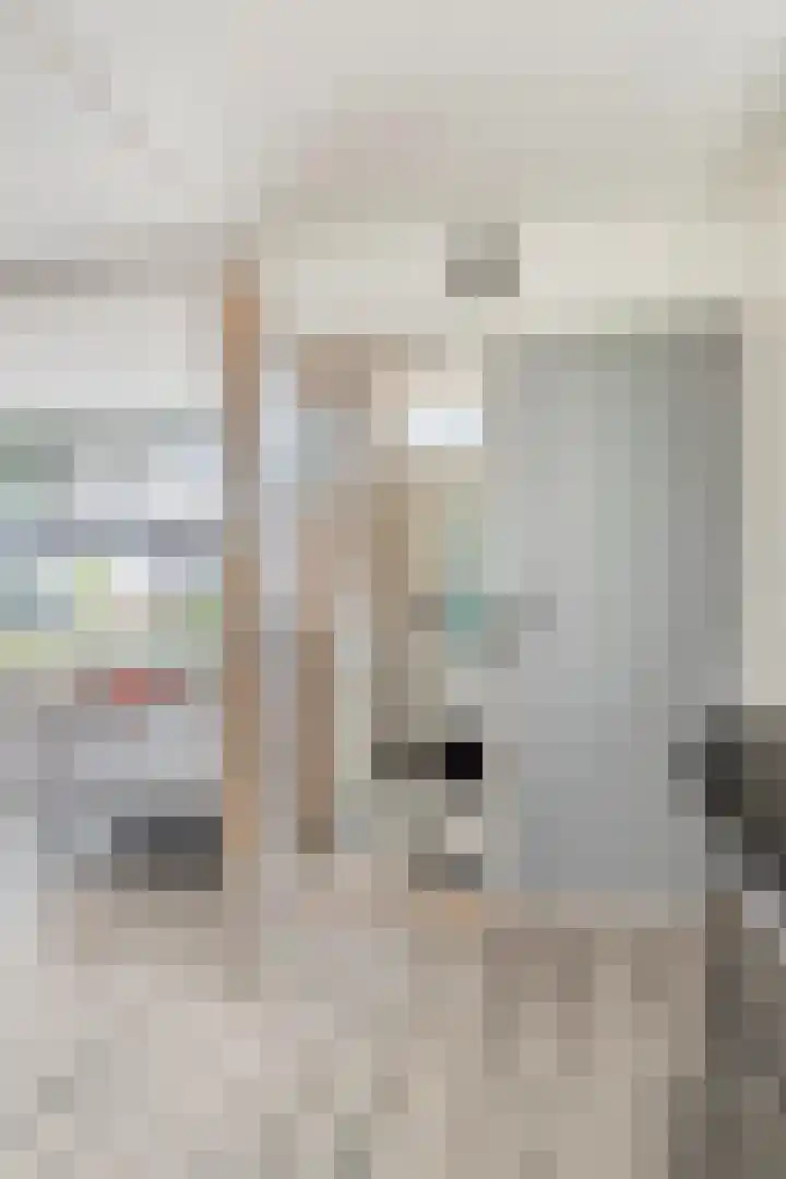 Molendijk 59 Stad aan 't Haringvliet thumbnail 8