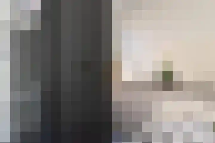 Molendijk 6 Nieuwe-Tonge thumbnail 12