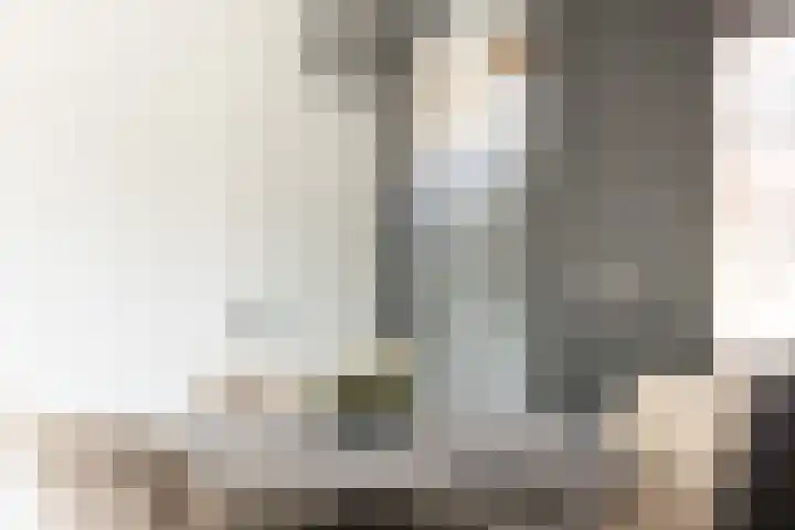 Molendijk 6 Nieuwe-Tonge thumbnail 15