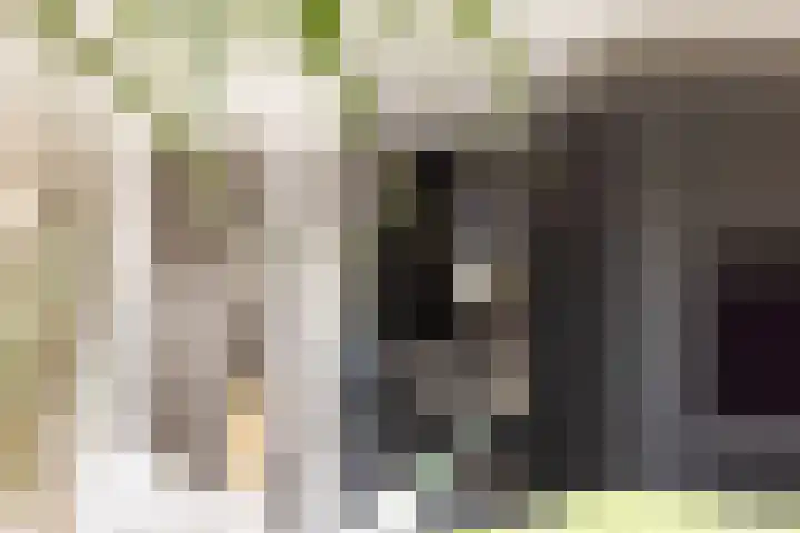 Molendijk 6 Nieuwe-Tonge thumbnail 16