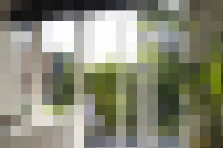 Molendijk 6 Nieuwe-Tonge thumbnail 20