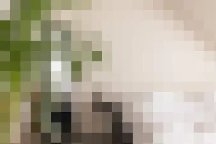 Molendijk 6 Nieuwe-Tonge thumbnail 23