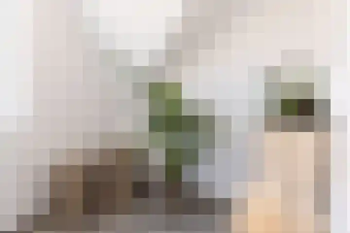 Molendijk 6 Nieuwe-Tonge thumbnail 26